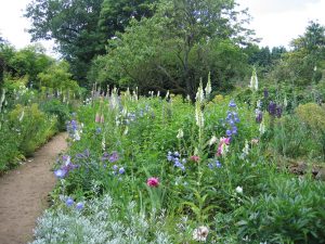 Munstead Wood, near Godalming - Wednesday 19th July 2017